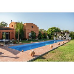 33x66cm Greentech Pool Garden Cotto Mix 18 face