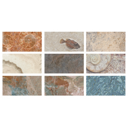 33x66cm Greentech Fosil Mix