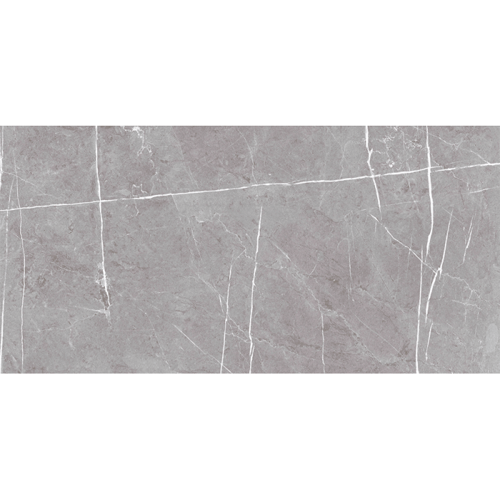 Bien Seramik 60x120cm Darvin Grey