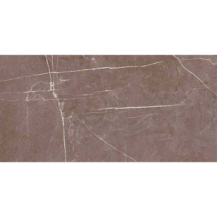 Bien Seramik 60x120cm Darvin Taupe