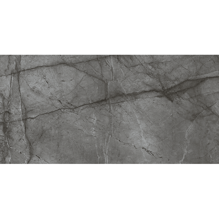 Bien Seramik 60x120cm Root Silver