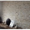 50x100mm Alya F-8501 Antik Bej Patlatma Mermer