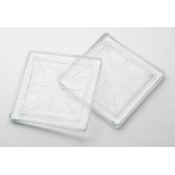 Cam Parke 20x20cm Kareli